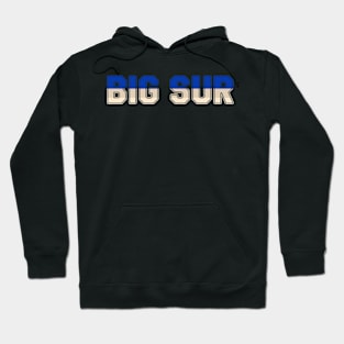 Big SurColor Hunt Hoodie